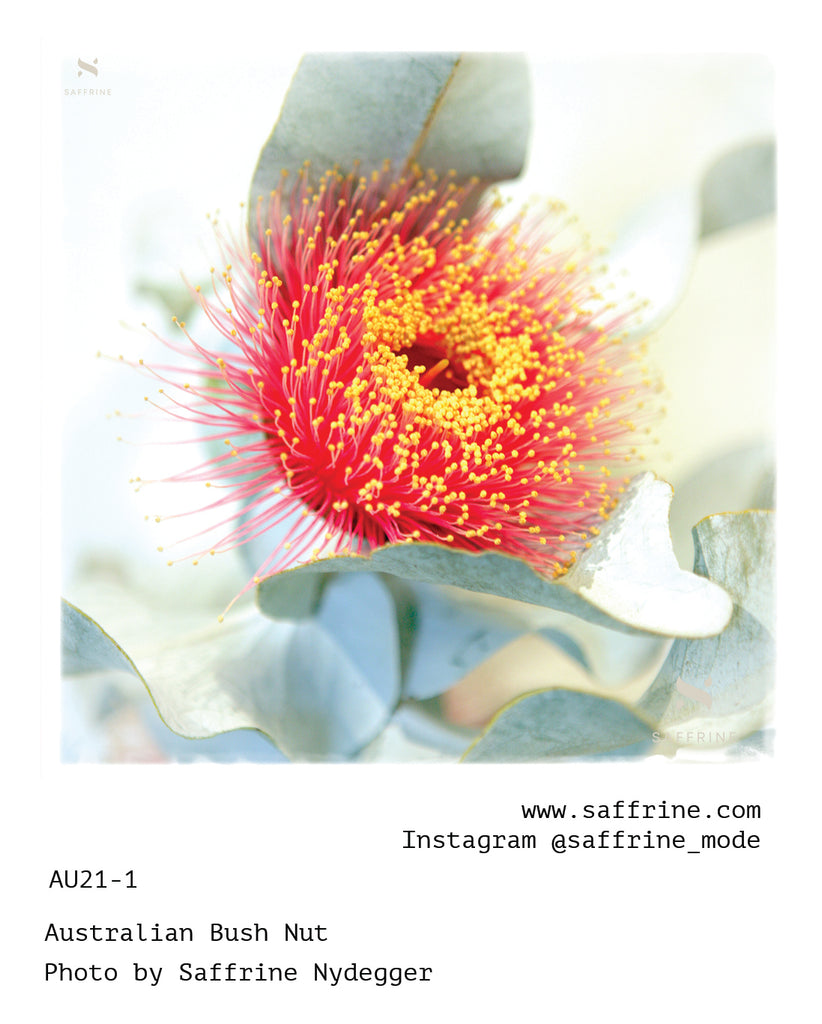 Artwraps - Australian Bush Nut