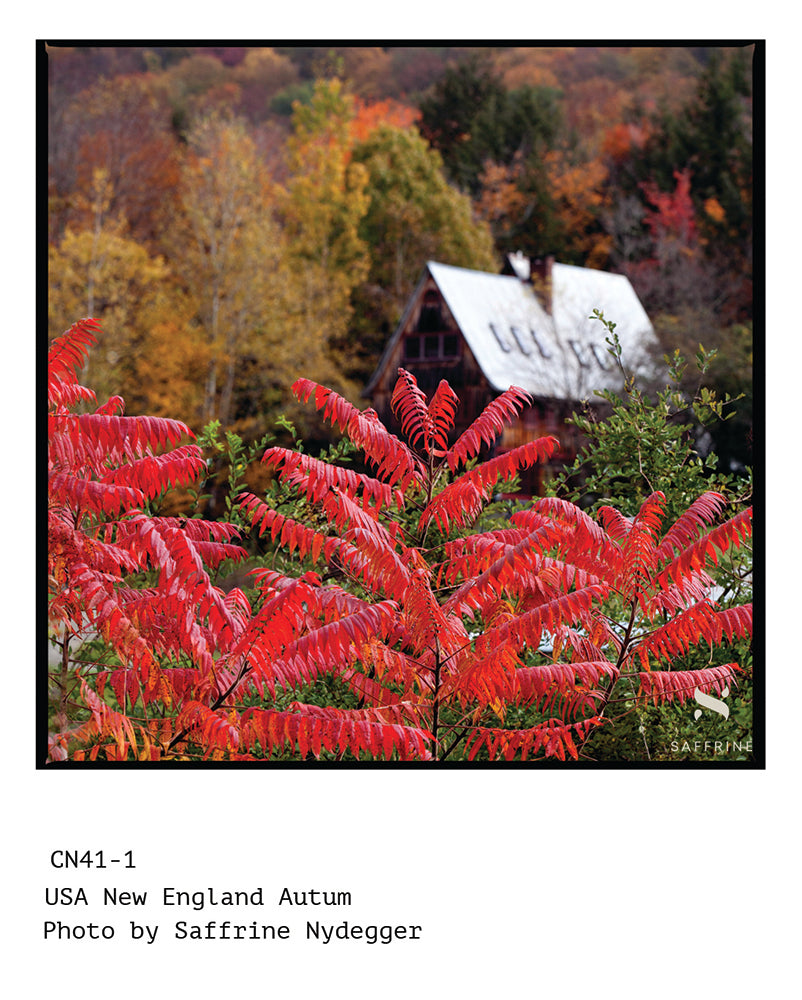 Artwraps - New England Autumn