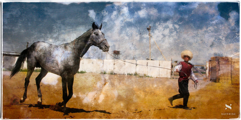ABOUT AKHAL-TEKE HORSE FROM TURKMENISTAN